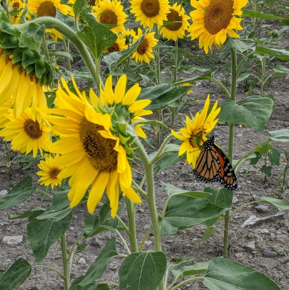 Meet your Posher, Charla